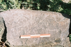 125