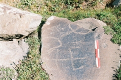 150