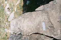 26