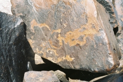 41