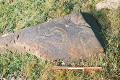 80