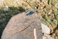 81