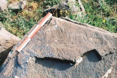 82