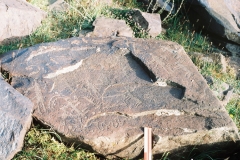 83