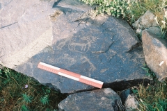 92