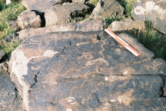 94