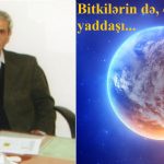 Bitkilərin də, öz yaddaşı…